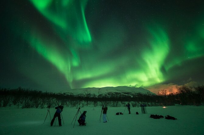 The Ultimate Aurora Photo Adventure - Who should book this experience?