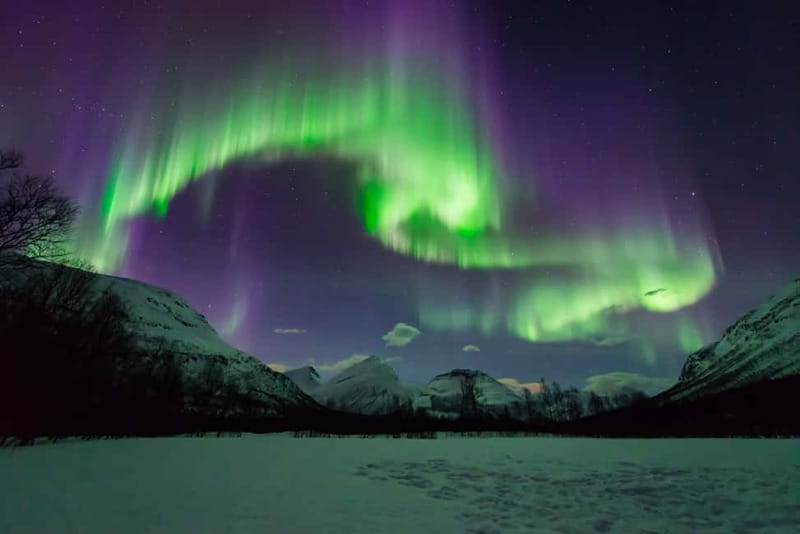 Tromsø: All inclusive Aurora Hunt with photos, food & drinks - Key points to know before booking
