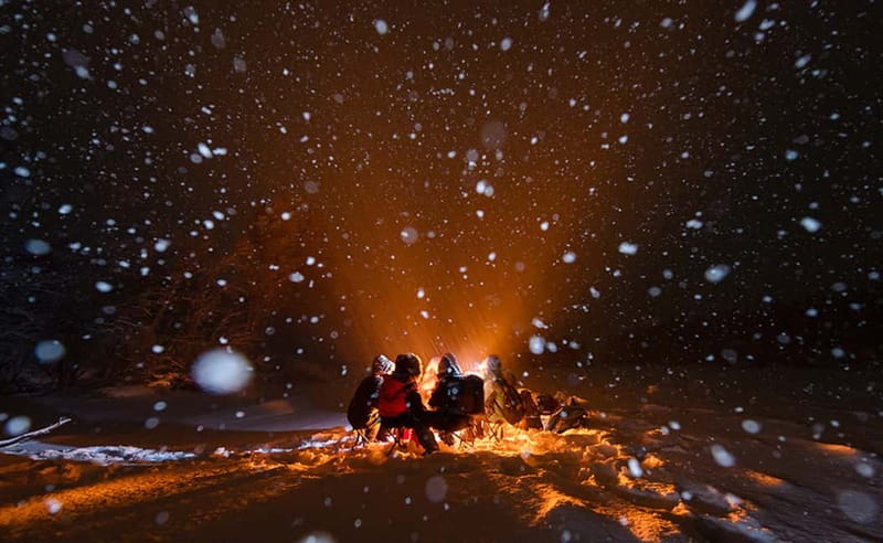 Tromsø: All inclusive Aurora Hunt with photos, food & drinks - Who will enjoy this Tromsø night most?