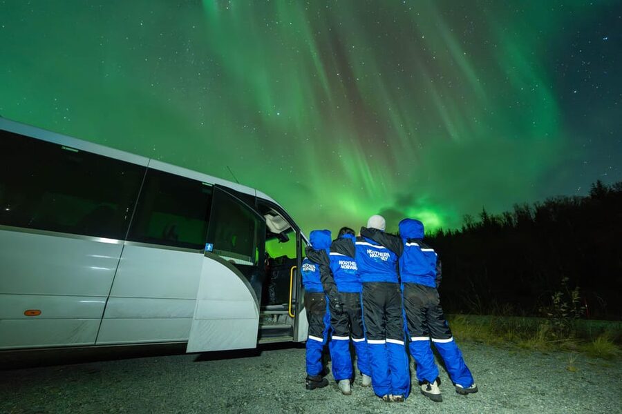 Tromsø: Aurora Borealis, Campfire, Hot Meal, Arctic Tour - The Mercedes Sprinter ride into Arctic Norway