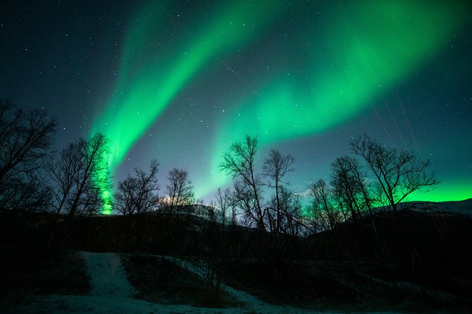 Tromso Aurora Chase by Minibus with Thermal Suit, Snack and Photo - Thermal suits, fires, and the waiting time