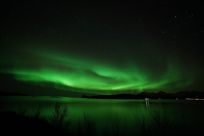 Tromso Aurora Chase by Minibus with Thermal Suit, Snack and Photo - Who should book this Tromsø aurora tour?