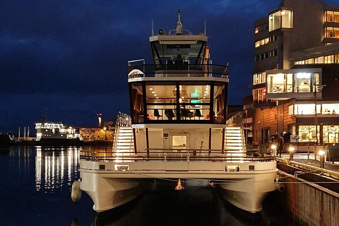 Tromso Aurora Cruise with 3-Course Dinner - Commentary, music, and the onboard mood