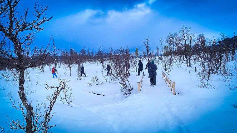 Tromsø: Aurora Crystal Lavvo Experience with Snowshoeing - Aurora chances: beautiful setting, no promise