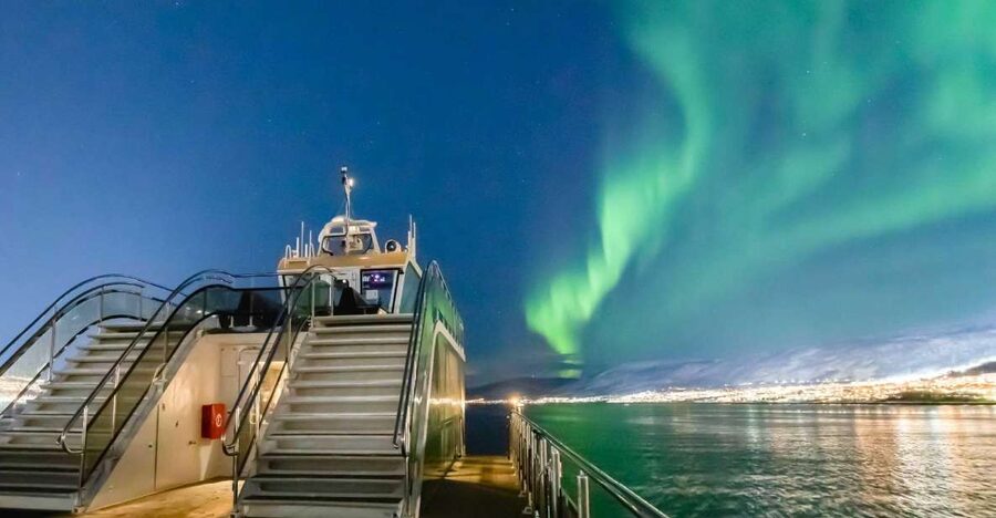 Tromsø: Aurora Dinner Cruise by Hybrid-Electric Catamaran - Key points to know before you book