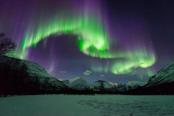 Tromso Aurora Hunt with Bonfire, Soup, Winter Gear & Transfers - What you can expect to learn and photograph