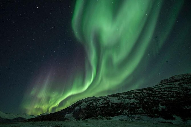 Tromso Aurora Hunt with Bonfire, Soup, Winter Gear & Transfers - The practical cost of the tour