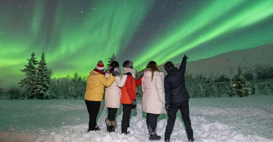 Tromsø: Aurora Safari Chase with Photos - Who will enjoy this evening most