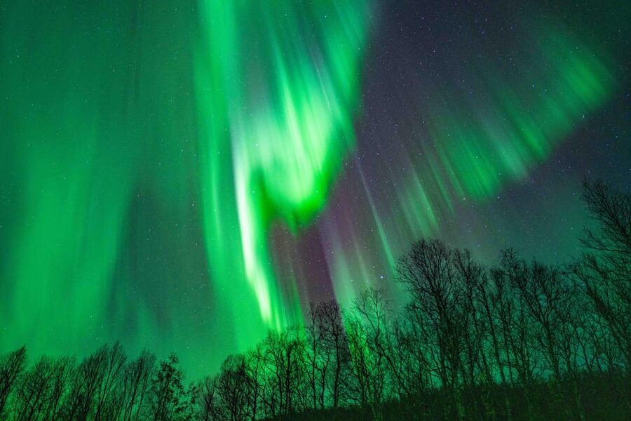 Tromsø: Aurora Tour with Photos, Campfire and Arctic Food - Who will enjoy this most