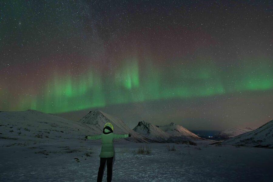 Tromsø: Aurora Tour with Photos, Campfire and Arctic Food - Campfire food with an Arctic twist