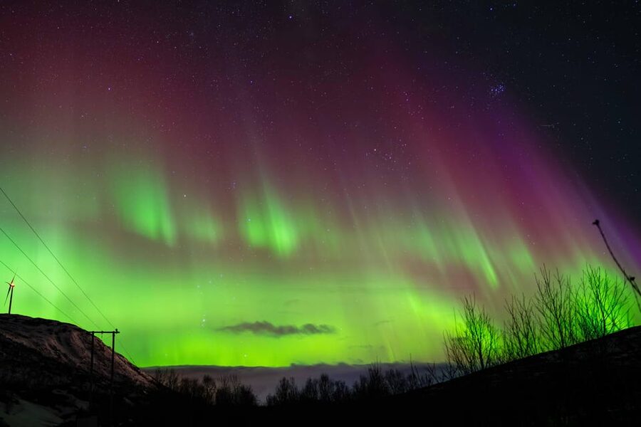 Tromsø: Aurora Tour with Photos, Campfire and Arctic Food - Photography help and the included image