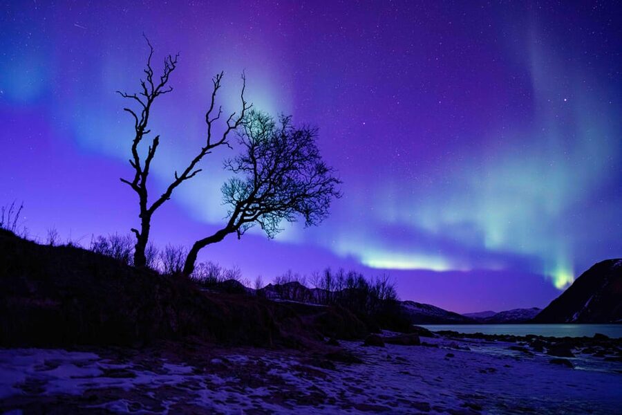 Tromsø: Aurora Tour with Photos, Campfire and Arctic Food - Thermal suits help, but boots still matter