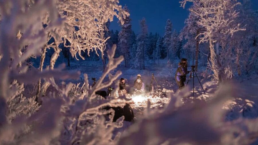 Tromsø: Big Bus Northern Lights Tour with Free Photos - Cold-weather comfort and what you still need