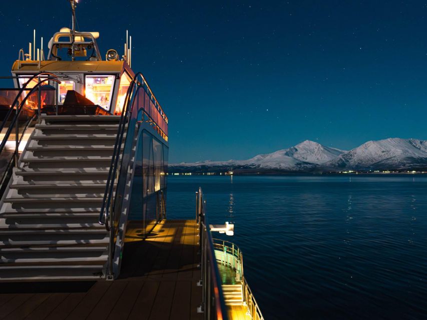 Tromsø: Electric Northern Lights Cruise - Is $124 a fair price?