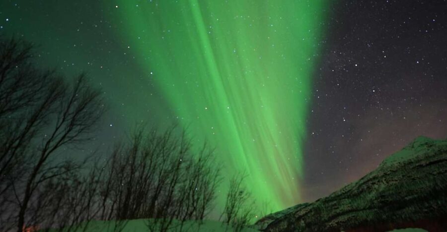 Tromsø: English/Spanish Aurora Pathfinder Tour with Photos - Key points at a glance
