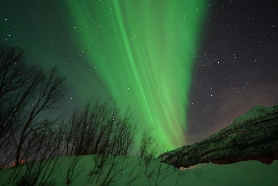 Tromsø: English/Spanish Aurora Pathfinder Tour with Photos - Six hours of driving, waiting, and sky watching