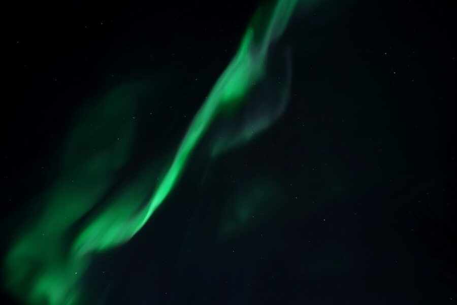 Tromsø: Evening Aurora Cruise (dinner optional) - Key points before you book