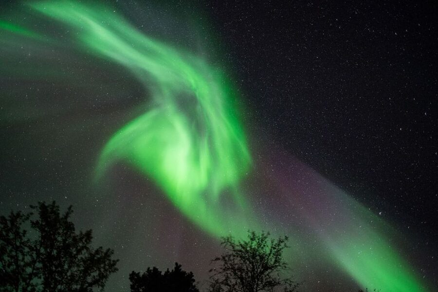 Tromsø: Evening Aurora Cruise (dinner optional) - The cabin, deck, and Arctic cold