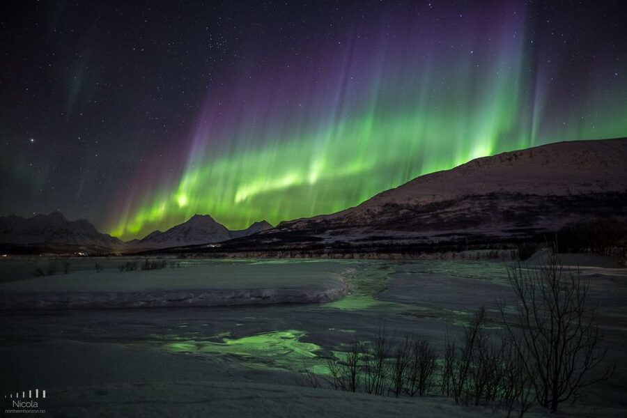 Tromsø: Expert Aurora Hunt - Thermal Gear, Food, Campfire - Campfire supper beside a lake, fjord, or frozen river