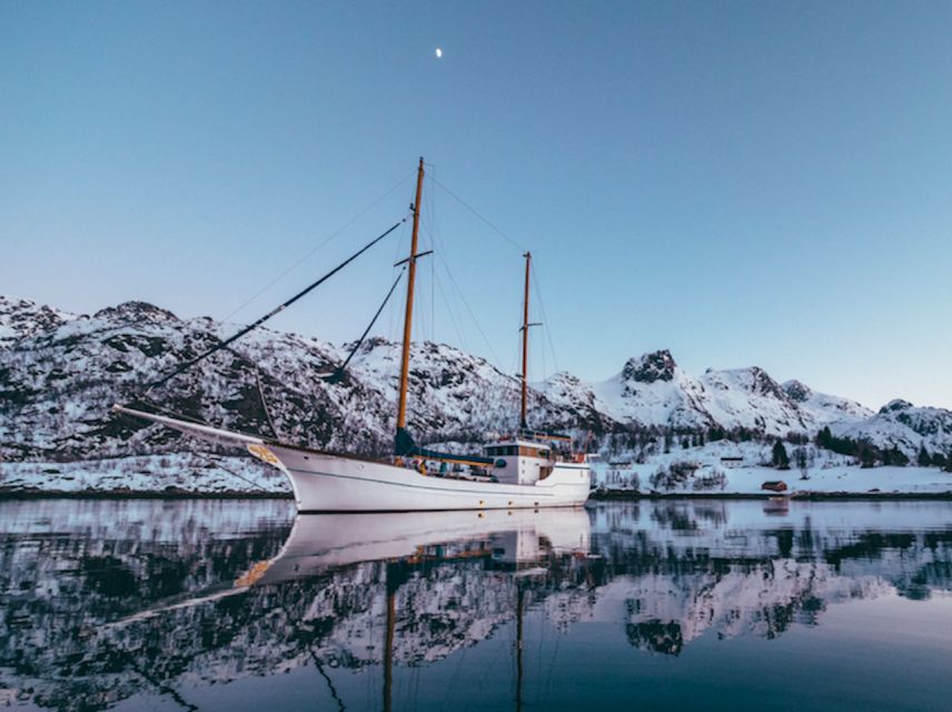 Tromso: Luxury Northern Lights Cruise with Hot Tub & Dinner - Hot tub time under snow and stars