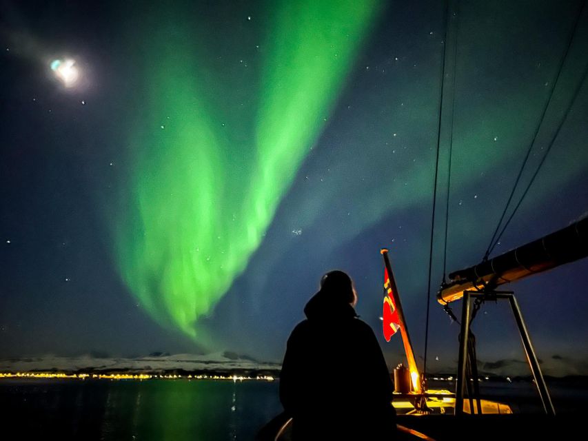 Tromso: Luxury Northern Lights Cruise with Hot Tub & Dinner - Seeing the northern lights is never guaranteed