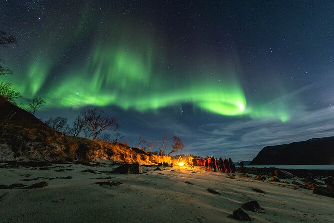 Tromsø: Northern Lights by Minibus - Free Photos and Warm Dinner - Key points to know before you book