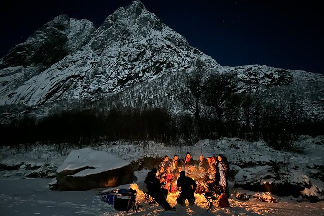 Tromsø: Northern Lights by Minibus - Free Photos and Warm Dinner - What the guide and driver add to the evening