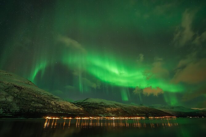 Tromsø: Northern Lights by Minibus - Free Photos and Warm Dinner - Meeting point, drop-off, and practical details