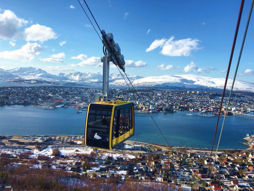 Tromso: Northern Lights Cable Car Excursion - Meeting by Tromsø Cathedral