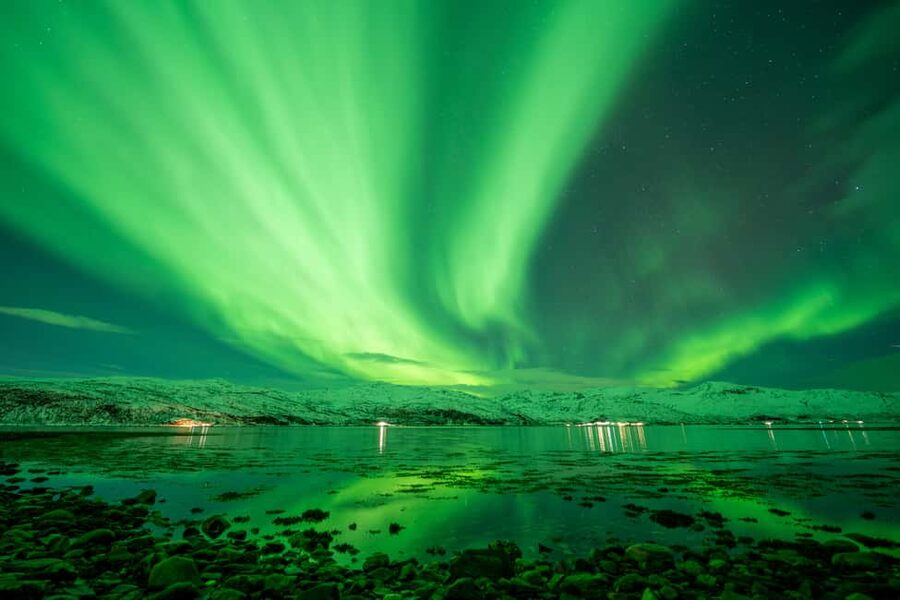 Tromsø: Northern Lights Chase, Local Guide, Foods & Pictures - Key points to know before booking