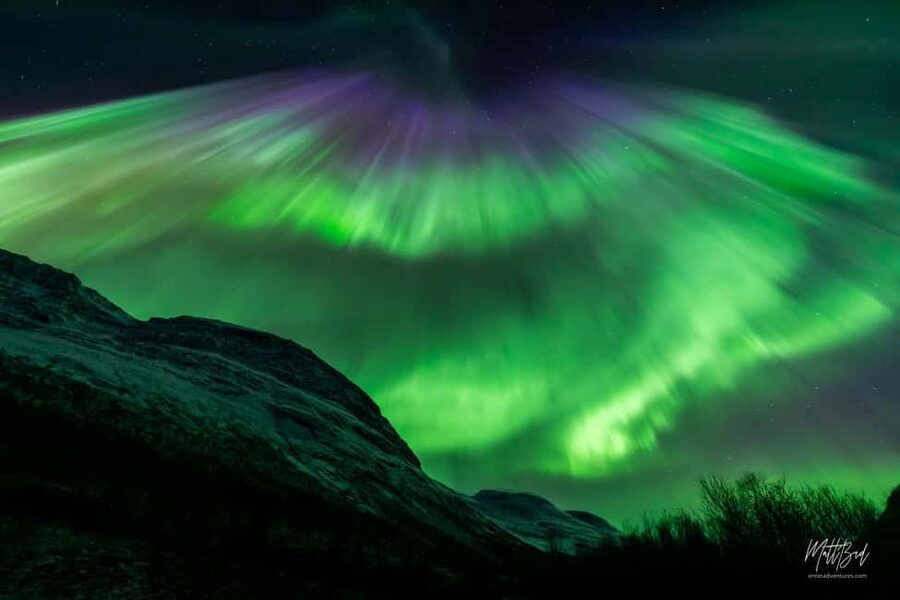 Tromsø: Northern Lights Chase with Expert Guides & Photos - Why this is a real Northern Lights chase