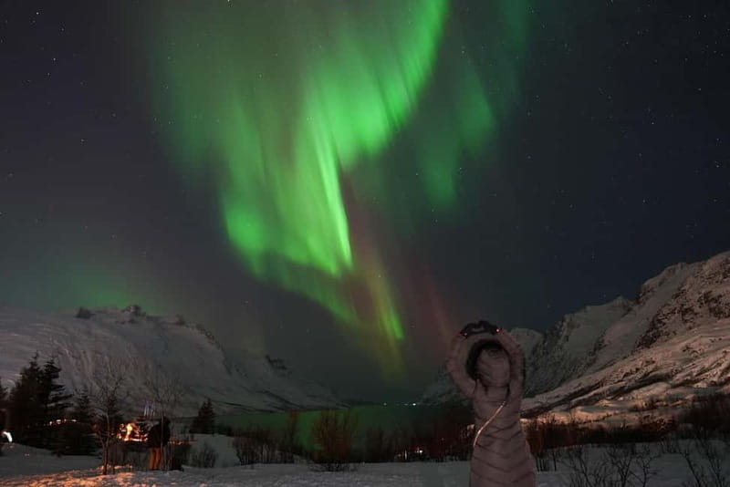 Tromsø: Northern Lights Chase with Local Guide & Free Photos - How the aurora search works