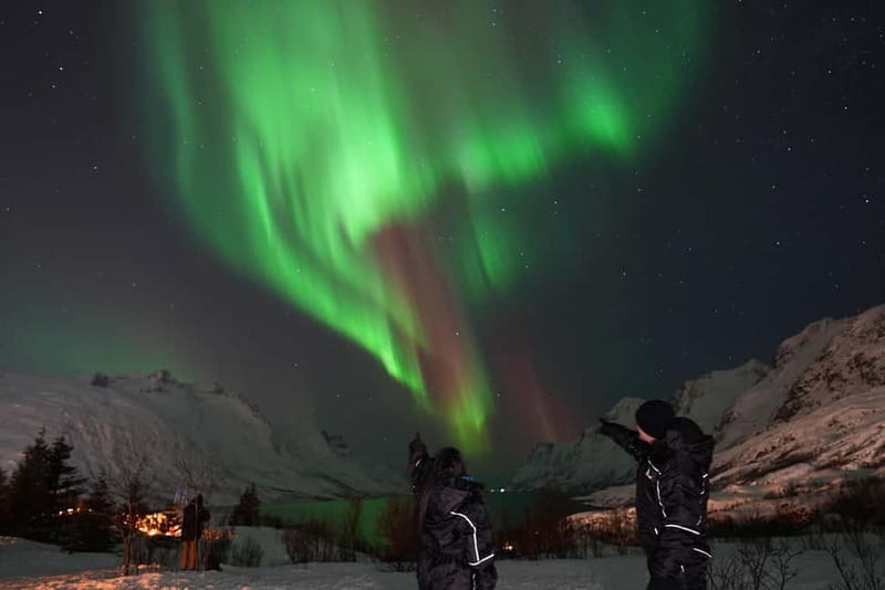 Tromsø: Northern Lights Chase with Local Guide & Free Photos - Small group value at $136