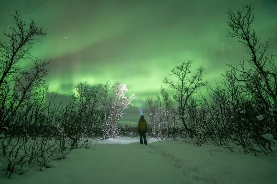 Tromsø: Northern Lights Hunt with Photos and Hot Food - Campfire soup, hot chocolate, and Arctic waiting time
