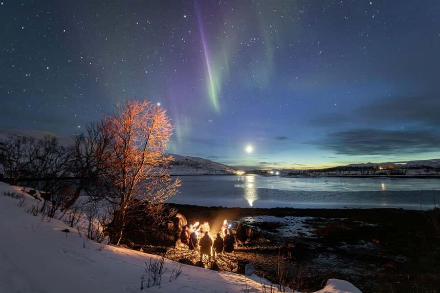 Tromsø: Northern Lights Hunt with Photos and Hot Food - Who should book this Northern Lights tour?