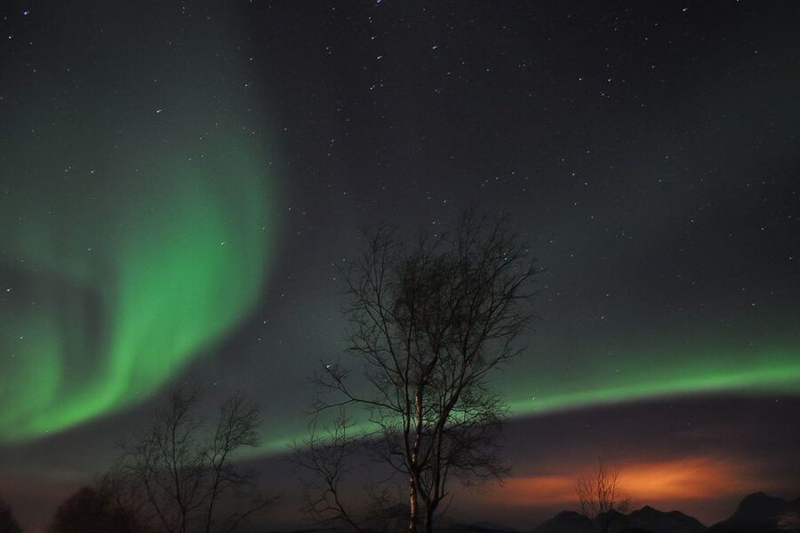 Tromsø: Northern Lights Husky Visit with Traditional Dinner - Meeting more than 200 Alaskan huskies