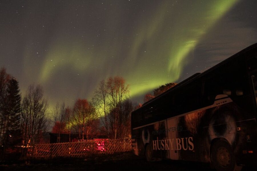 Tromsø: Northern Lights Husky Visit with Traditional Dinner - What the $187 price really buys you