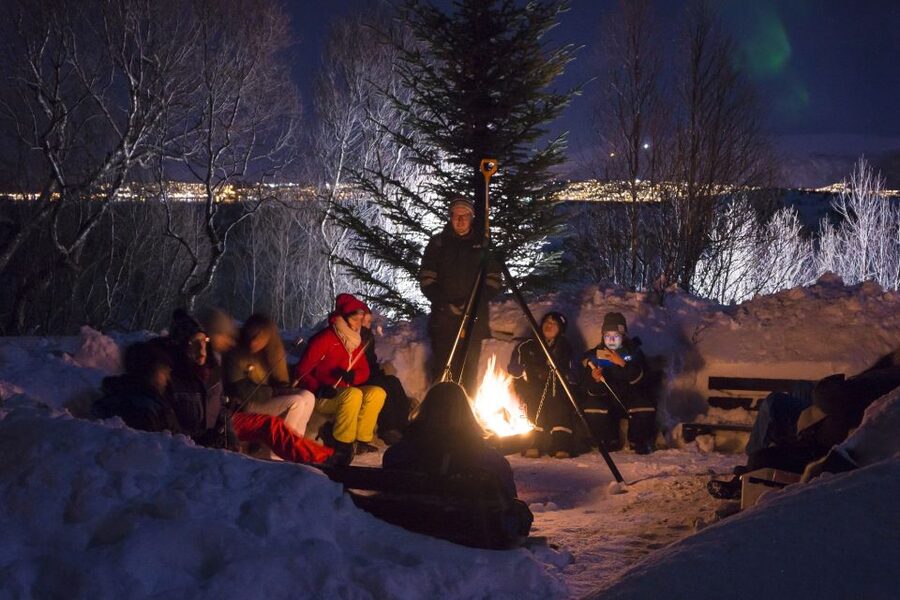 Tromsø: Northern Lights Husky Visit with Traditional Dinner - Puppies, playtime, and the limits of the visit