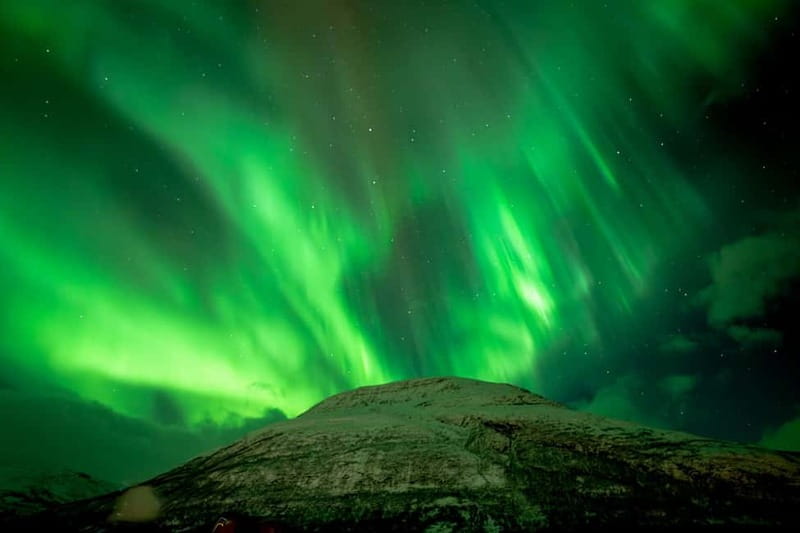 Tromsø: Northern Lights in a Minivan with Free Photos and a Hot Meal - Is $213 a fair price?