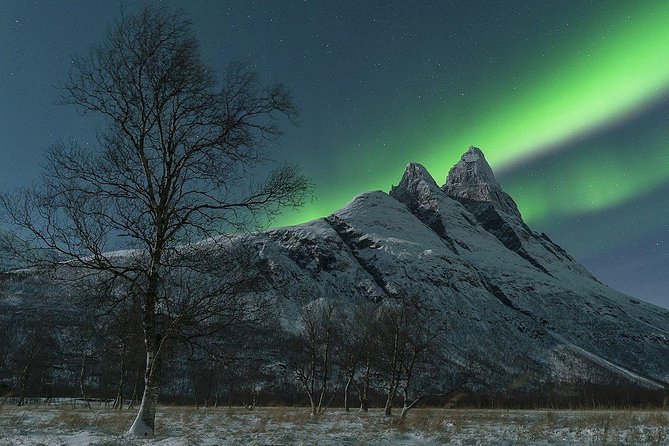 Tromso Northern Lights Minibus Chase Small Group Tour with Photos - How good are the guides?