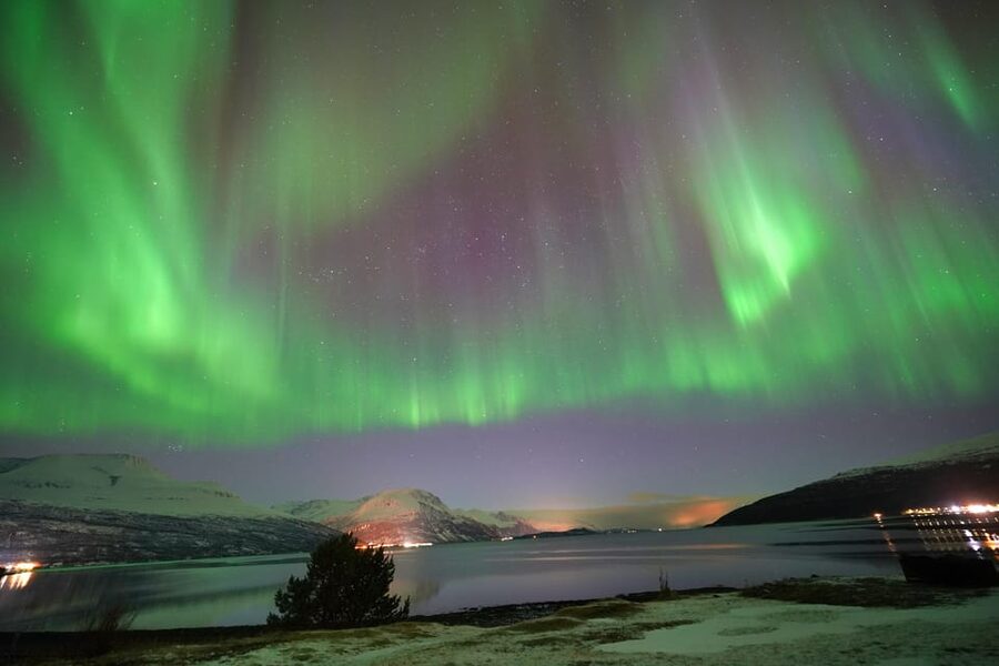 Tromso: Northern Lights Minibus Tour with Campfire - What happens at the viewing stops