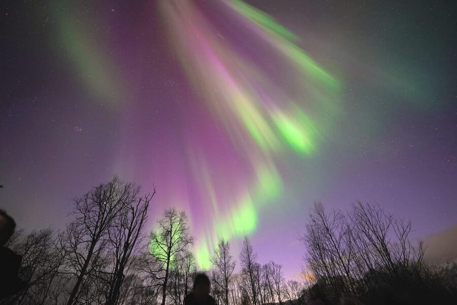 Tromso: Northern Lights Minibus Tour with Campfire - The minibus chase can become the main adventure
