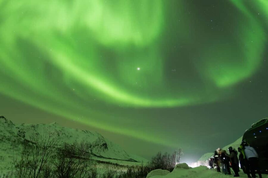 Tromsø: Northern Lights Minibus Tour with Local Experts - Waiting beside the fire