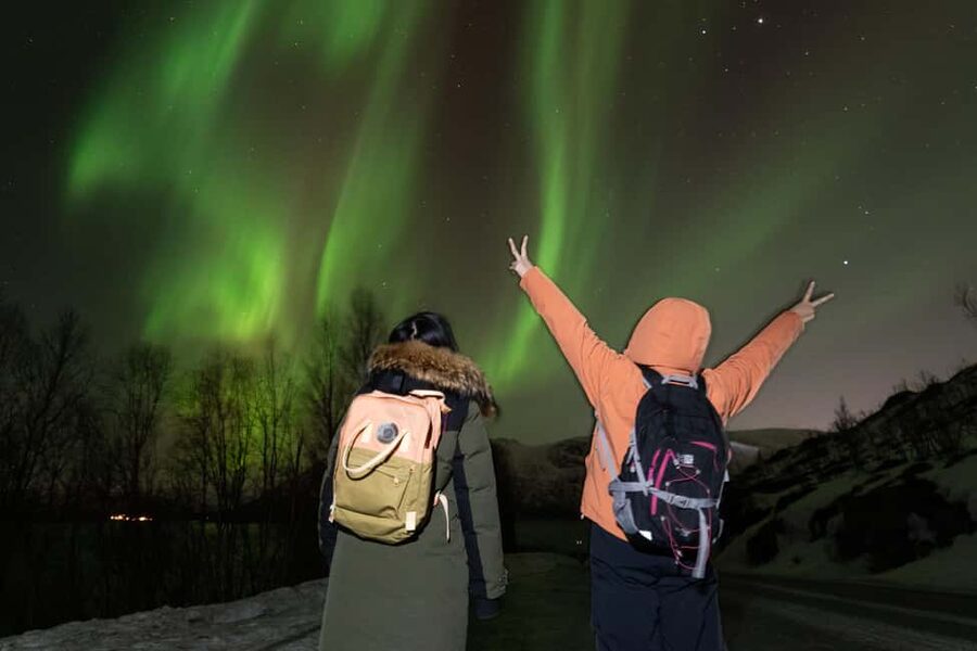 Tromsø: Northern Lights Minibus Tour with Local Experts - Is $116 a fair price?