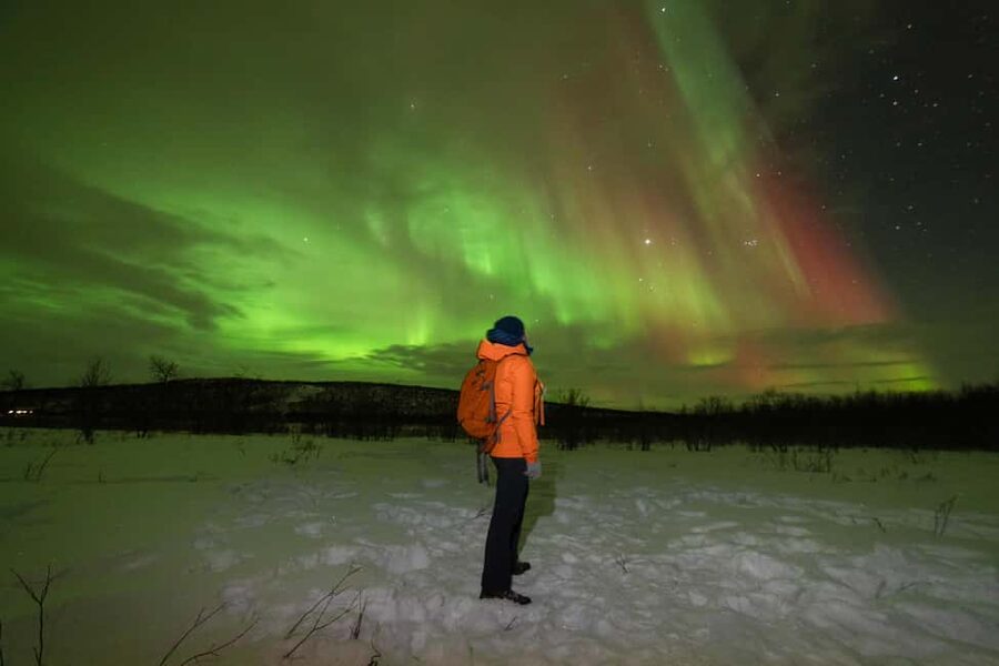 Tromsø: Northern Lights Minibus Tour with Local Experts - What the six-hour evening feels like