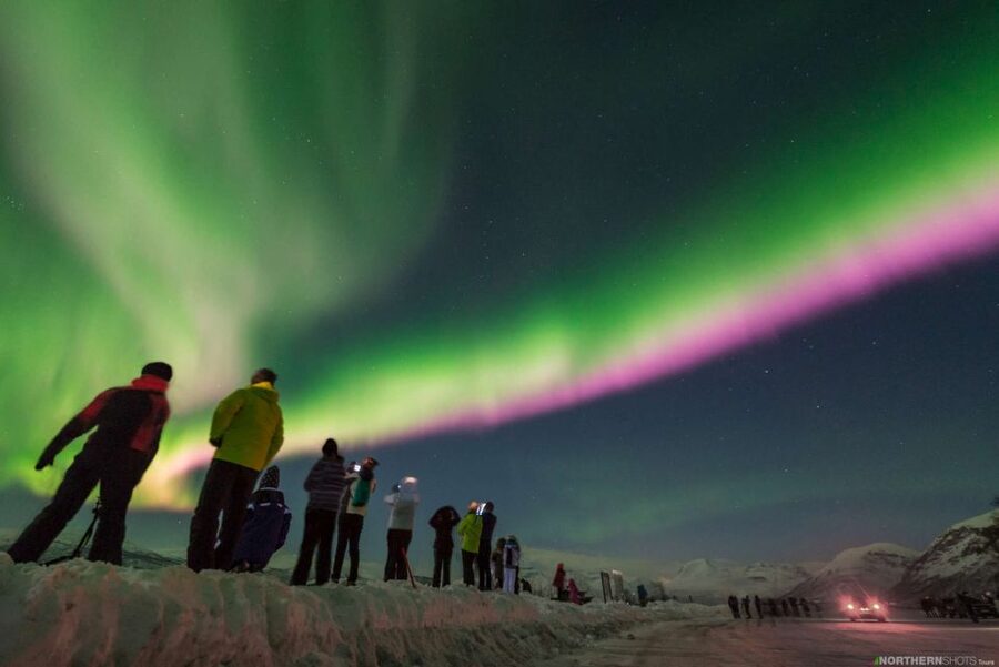 Tromso: Northern Lights Photography Tour - Why the guide matters more than the forecast
