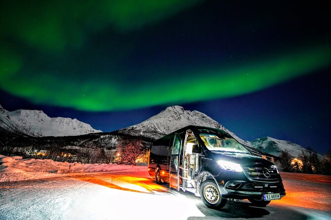 TROMSO | NORTHERN LIGHTS PIONEERS | Photos included - Warm clothing, hot chocolate, and the waiting game