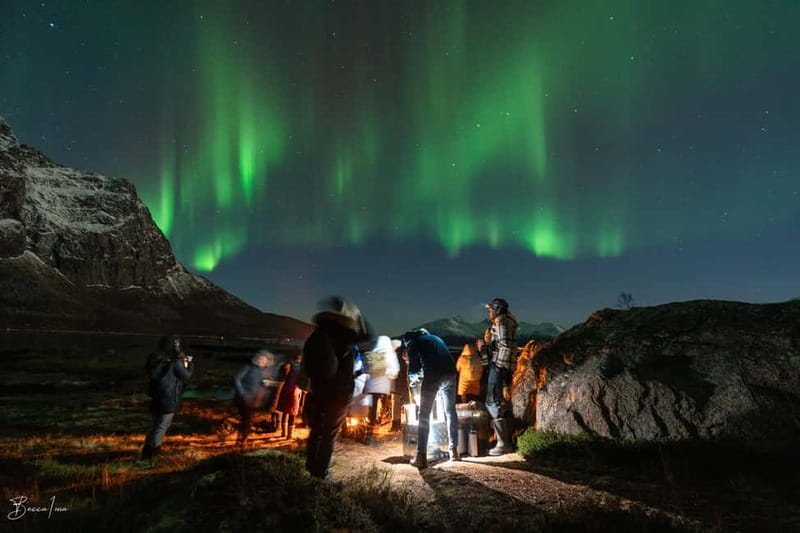 Tromsø: Northern Lights Safari with Expert Guides and Photos - Why this safari works better than guessing on your own