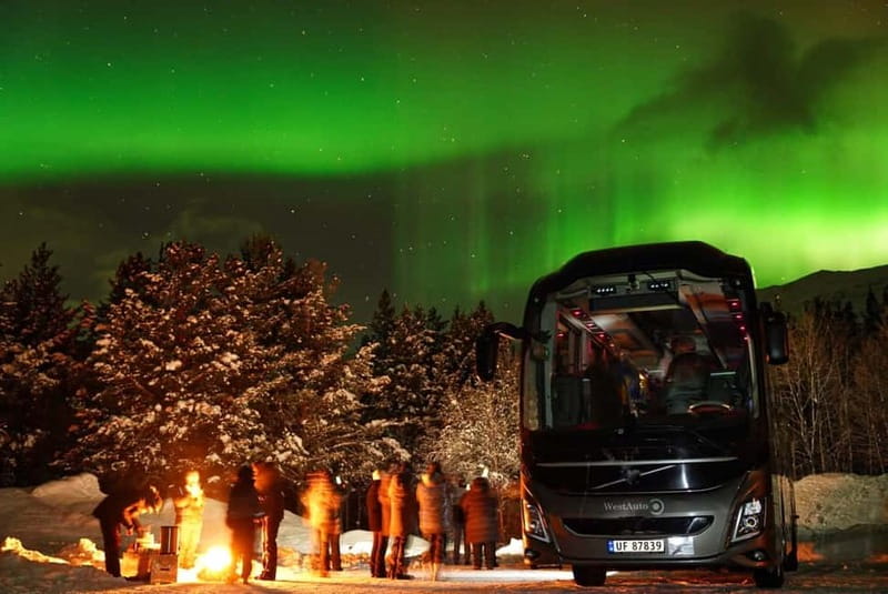 Tromsø: Northern Lights Safari with Expert Guides and Photos - What happens at the viewing stop