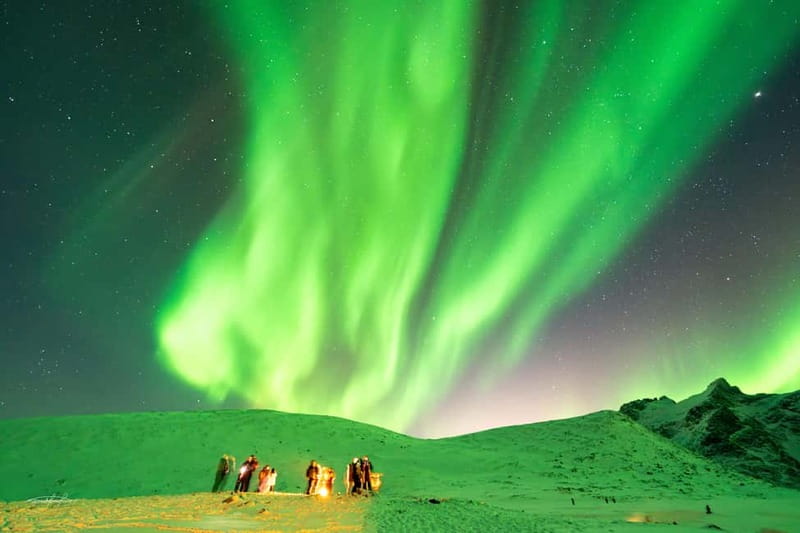 Tromsø: Northern Lights Safari with Expert Guides and Photos - Who should choose this Tromsø safari